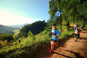 BIB: 
                            <button type="button" onclick="openModal(19178394)" class="btn btn-primary btn-sm float-right btn-popup" data-toggle="modal" data-target=".modal-high-quality">
                        <i class="fas fa-shopping-cart"></i> Add to Cart
                    </button>
                                            <button type="button" onclick="isThisMe(19178394, true)" class="btn btn-success btn-sm float-right btn-popup btn-isme hidden" data-toggle="tooltip" data-placement="bottom" title="นี่คือรูปของคุณใช่ไหม คลิกที่นี่เพื่อเอาเข้าอัลบั้ม">
                        <i class="fas fa-plus"></i> Add to album
                    </button>
                    <button type="button" onclick="isThisMe(19178394, false)" class="btn btn-warning btn-sm float-right btn-popup btn-isnotme hidden">
                        <i class="fas fa-ban"></i> Remove from album
                    </button>